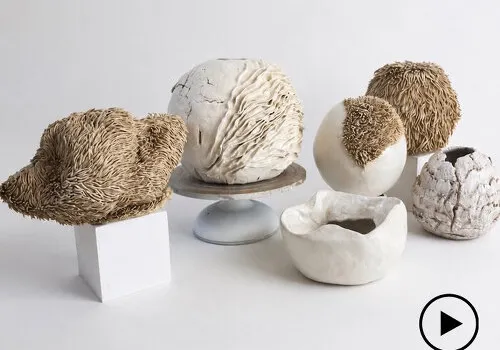 極地詩篇：陶瓷雕塑凝視崩解與穩定之間的美學張力
