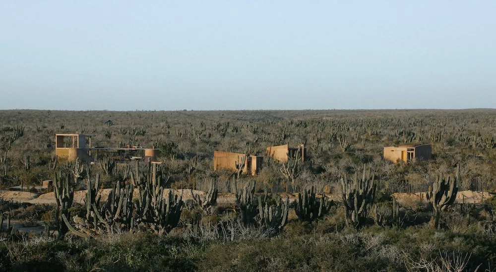 Casa Langosta：巴哈沙漠中的極簡詩意，Nereidas首度呈獻奢華靜謐之境