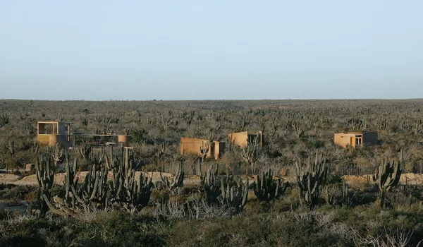 Casa Langosta：巴哈沙漠中的極簡詩意，Nereidas首度呈獻奢華靜謐之境
