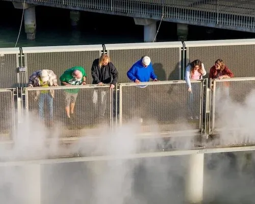 The Exploratorium: Redefining STEM Engagement Through Immersive Architectural Narratives